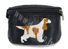 spaniel eng red- white_copy